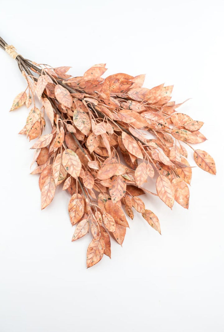 Creamy Peach Leaves Bundle - Greenery Market27874