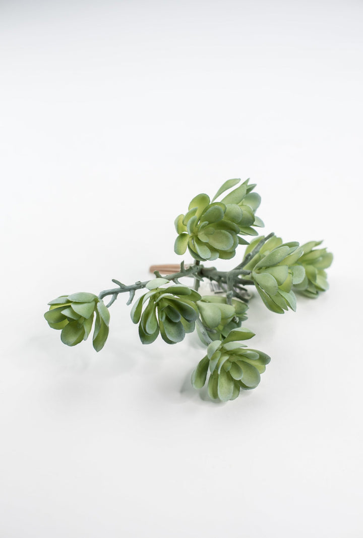 Creeping succulent plant - Greenery MarketArtificial SucculentsMTF24190 GYGR