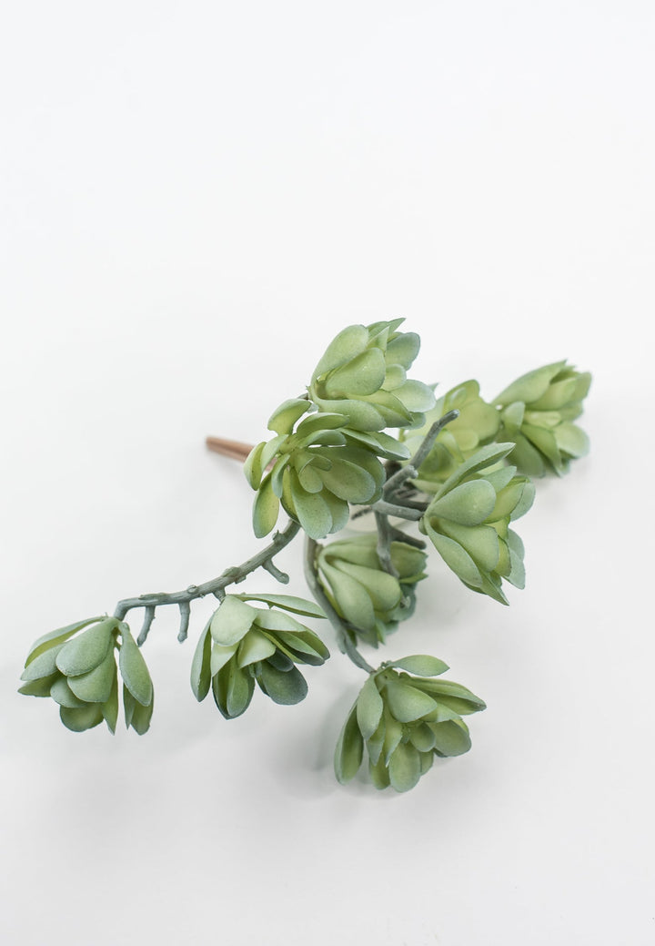 Creeping succulent plant - Greenery MarketArtificial SucculentsMTF24190 GYGR