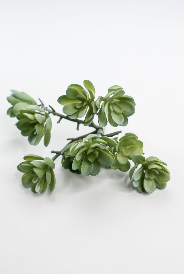 Creeping succulent plant - Greenery MarketArtificial SucculentsMTF24190 GYGR