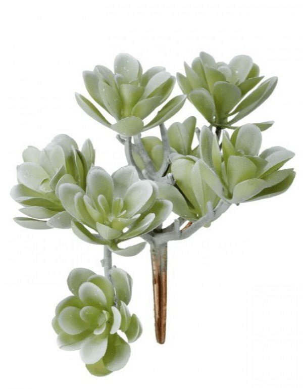 Creeping succulent plant - Greenery MarketArtificial SucculentsMTF24190 GYGR