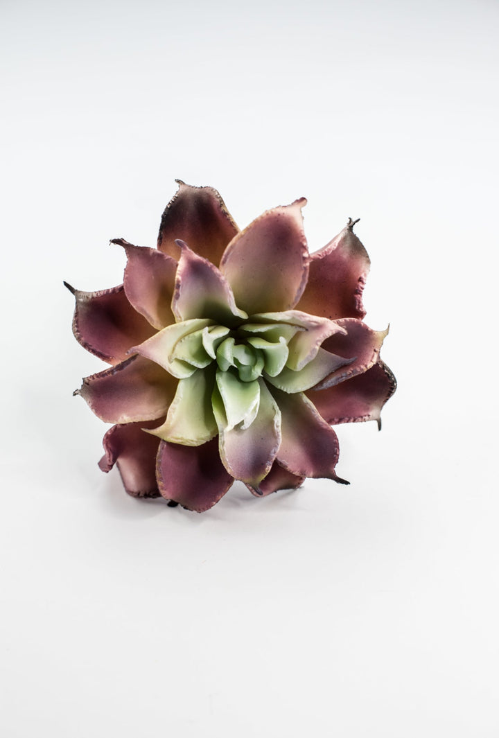 Dahlia succulent - Greenery MarketArtificial SucculentsMTF24206 pkgr