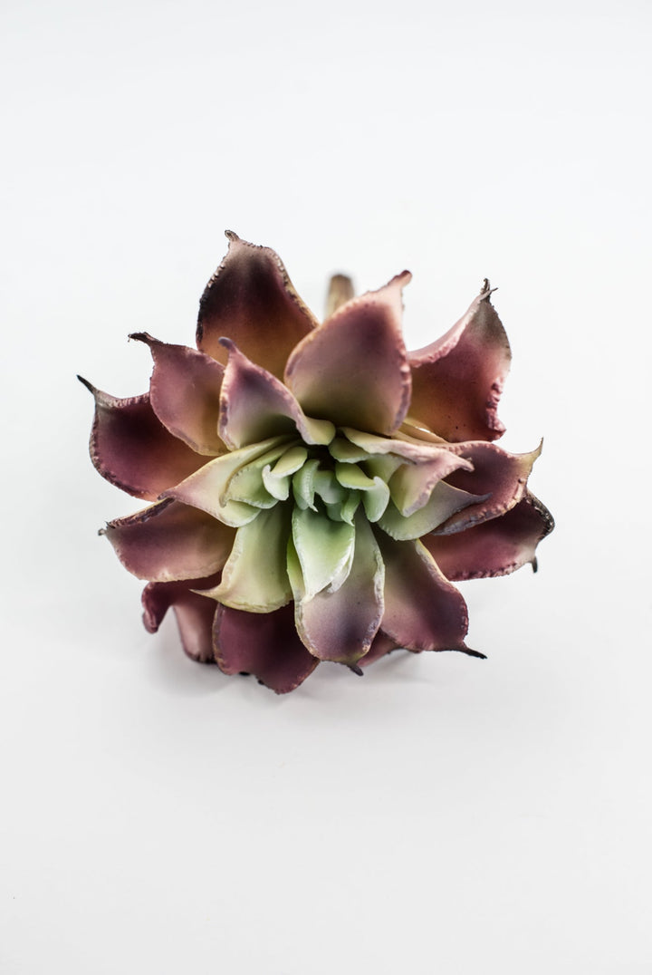 Dahlia succulent - Greenery MarketArtificial SucculentsMTF24206 pkgr