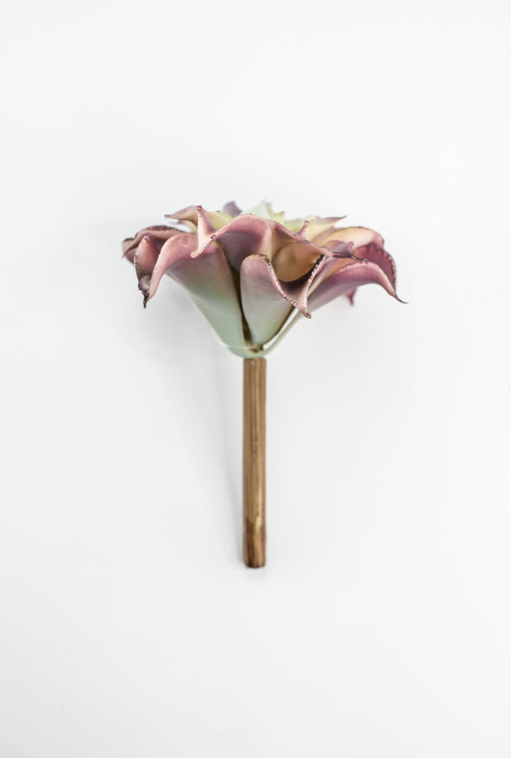 Dahlia succulent - Greenery MarketArtificial SucculentsMTF24206 pkgr