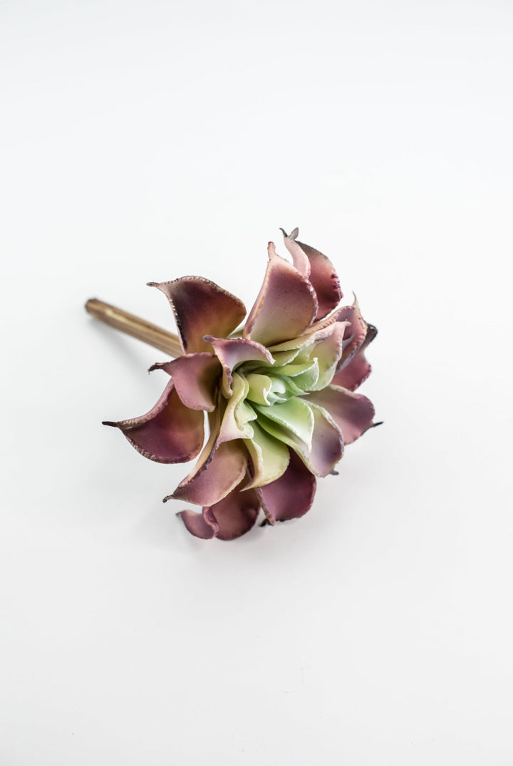 Dahlia succulent - Greenery MarketArtificial SucculentsMTF24206 pkgr