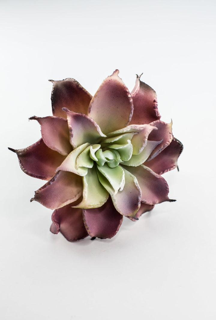 Dahlia succulent - Greenery MarketArtificial SucculentsMTF24206 pkgr