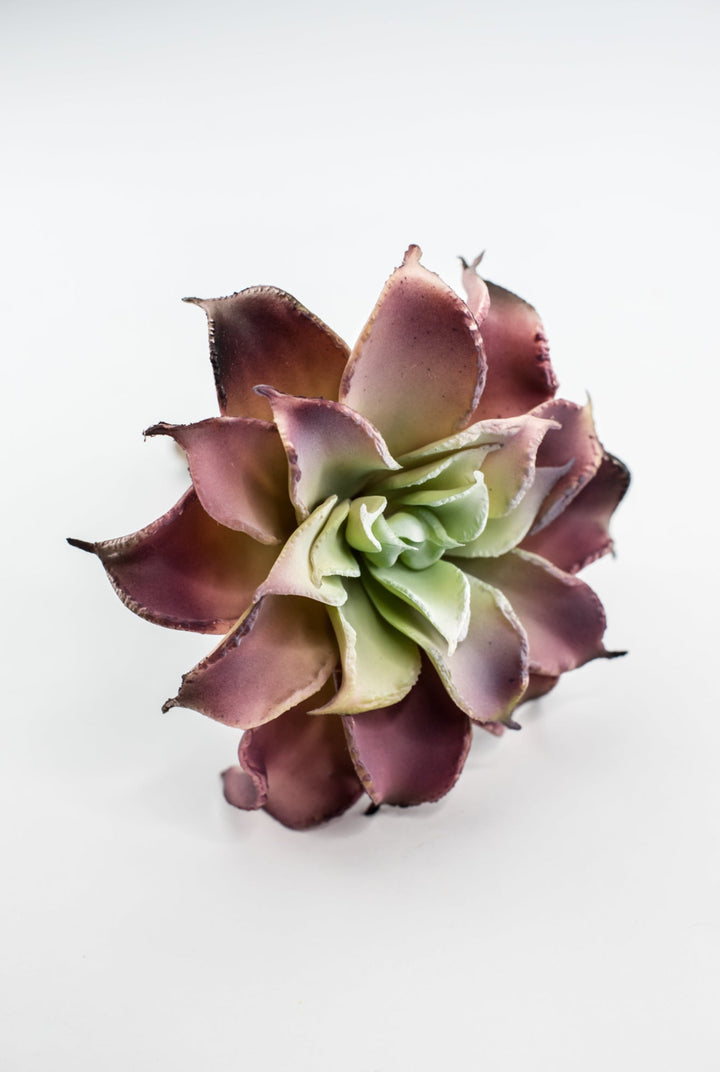 Dahlia succulent - Greenery MarketArtificial SucculentsMTF24206 pkgr