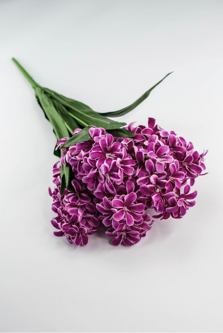 Dark Pink hyacinth bush - Greenery Market84889 - FU