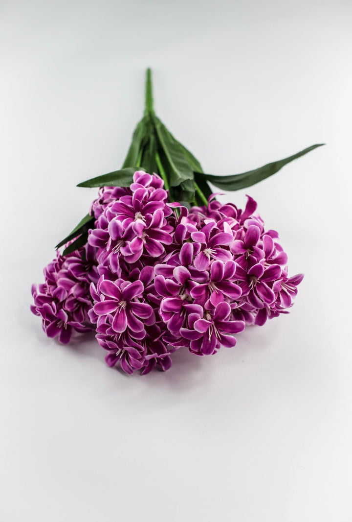 Dark Pink hyacinth bush - Greenery Market84889 - FU