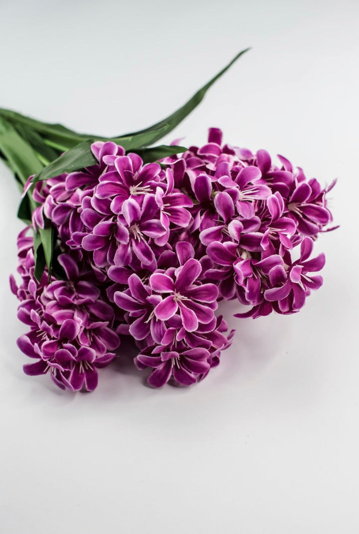 Dark Pink hyacinth bush - Greenery Market84889 - FU