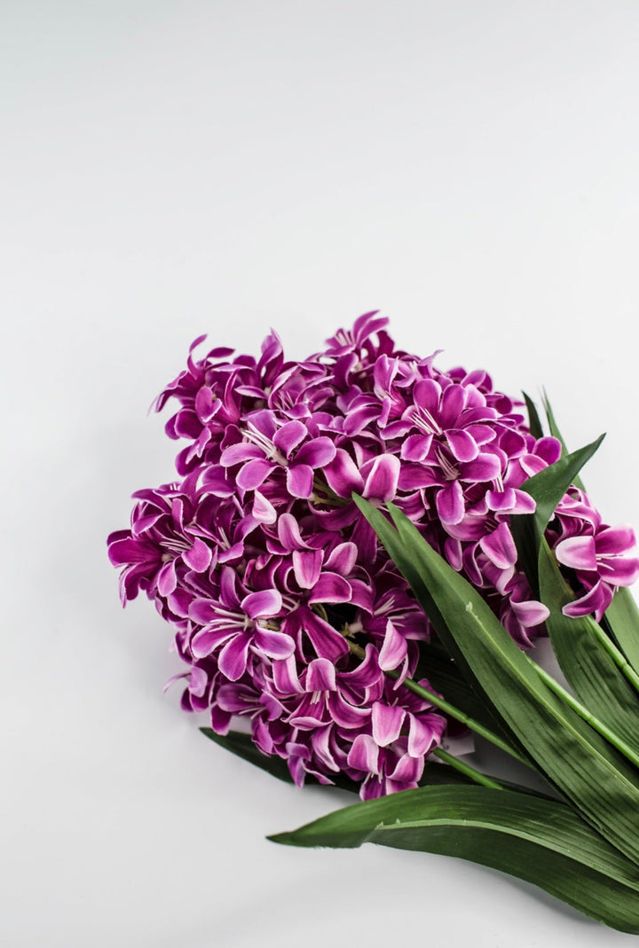 Dark Pink hyacinth bush - Greenery Market84889 - FU