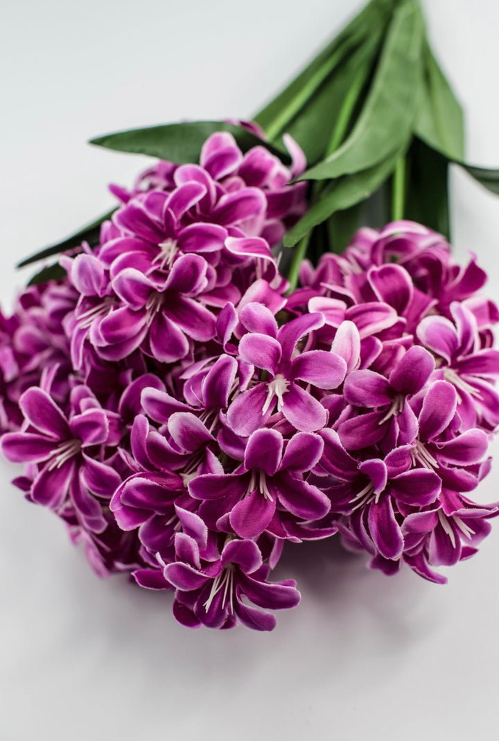 Dark Pink hyacinth bush - Greenery Market84889 - FU