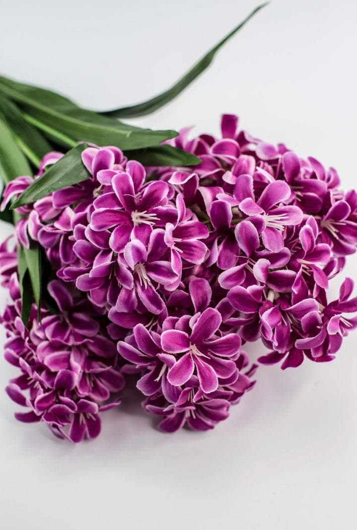 Dark Pink hyacinth bush - Greenery Market84889 - FU