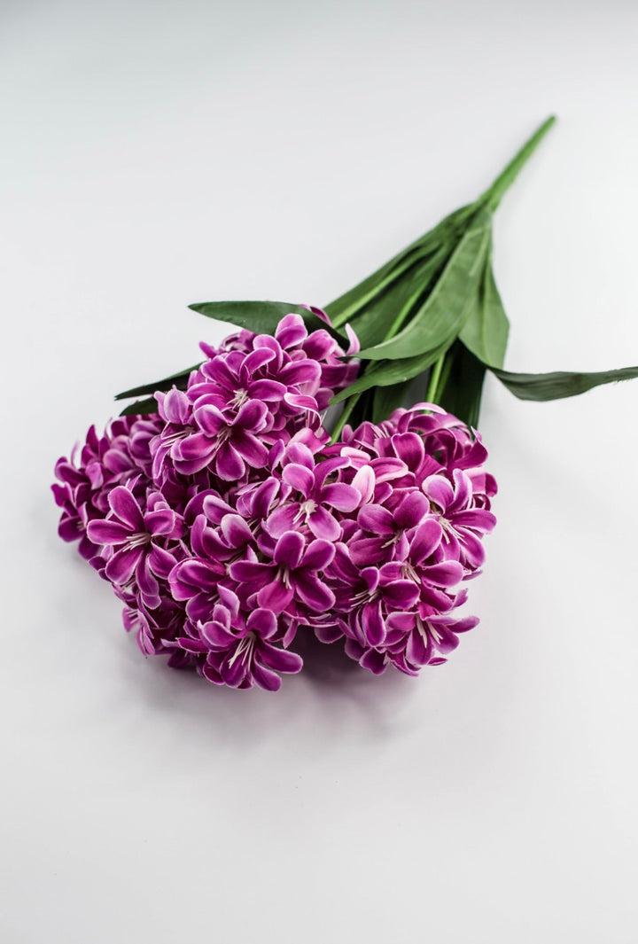 Dark Pink hyacinth bush - Greenery Market84889 - FU