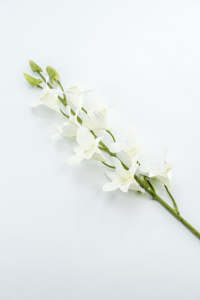 Dendrobium flower stem - white - Greenery MarketArtificial FloraMTF23897 WHT