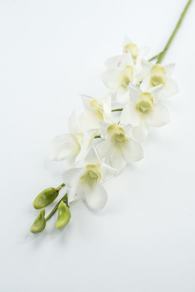 Dendrobium flower stem - white - Greenery MarketArtificial FloraMTF23897 WHT