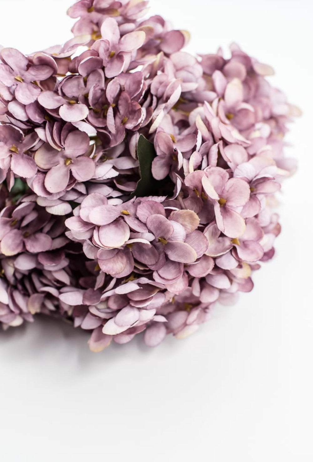 Dusty Purple Hydrangea Bush - Greenery Market57328PU