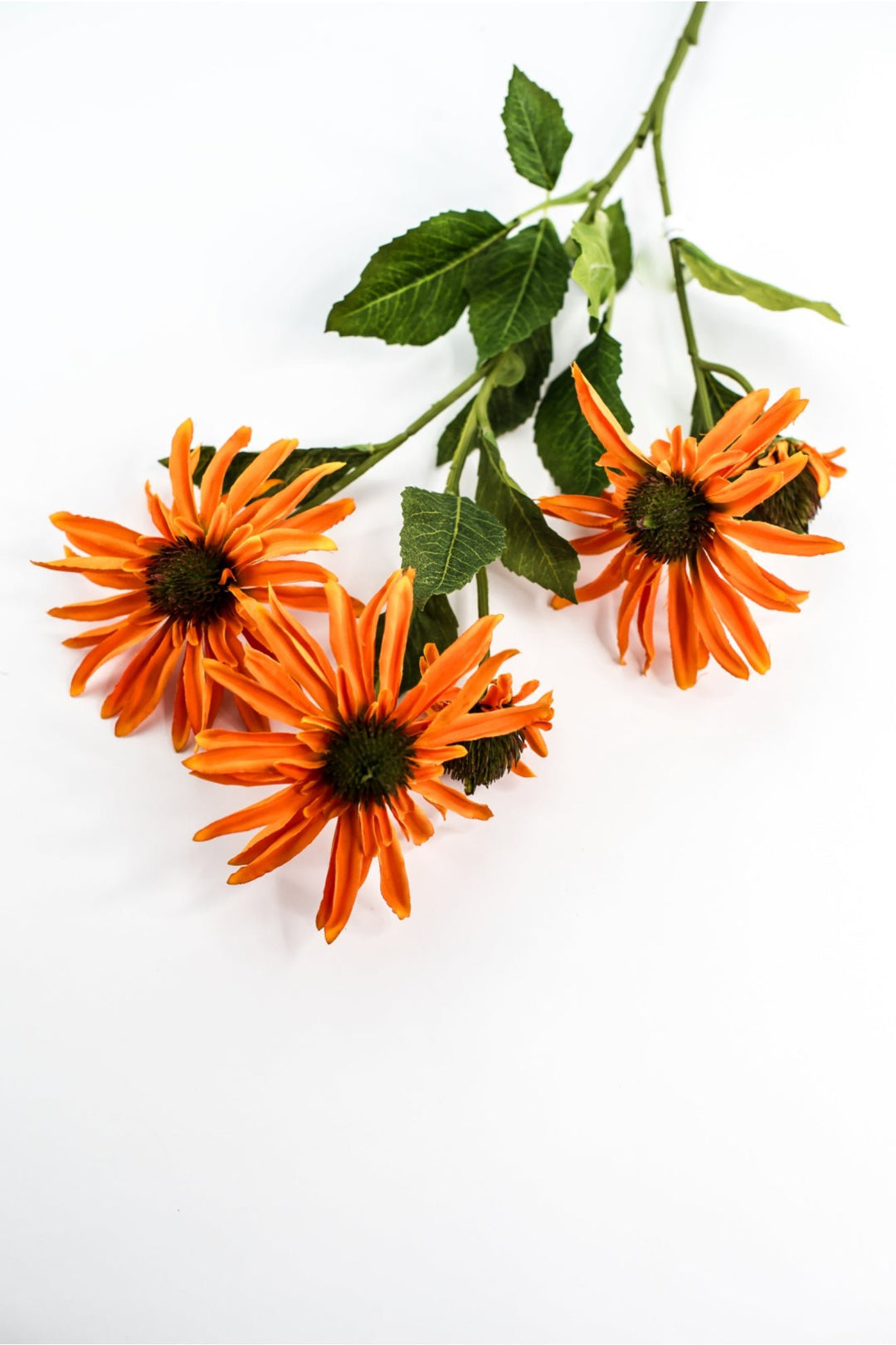 Echinacea flower spray - orange - Greenery Marketartificial flowersMTF24100 ORNG