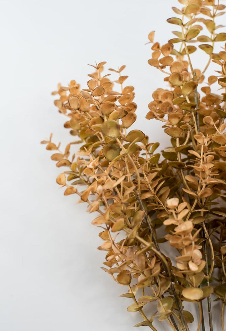 Eucalyptus bush - brown - Greenery Marketgreenery57013BN