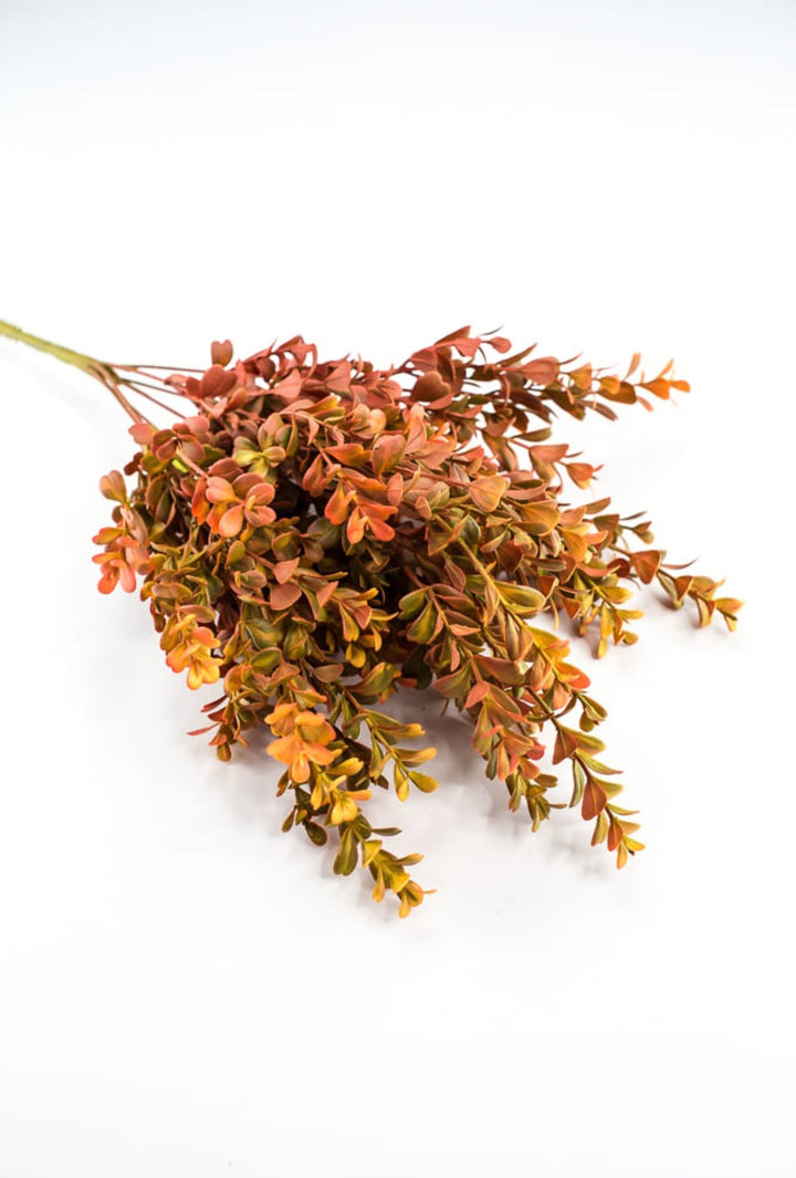 Eucalyptus bush - orange rust - Greenery Marketgreenery57094OR