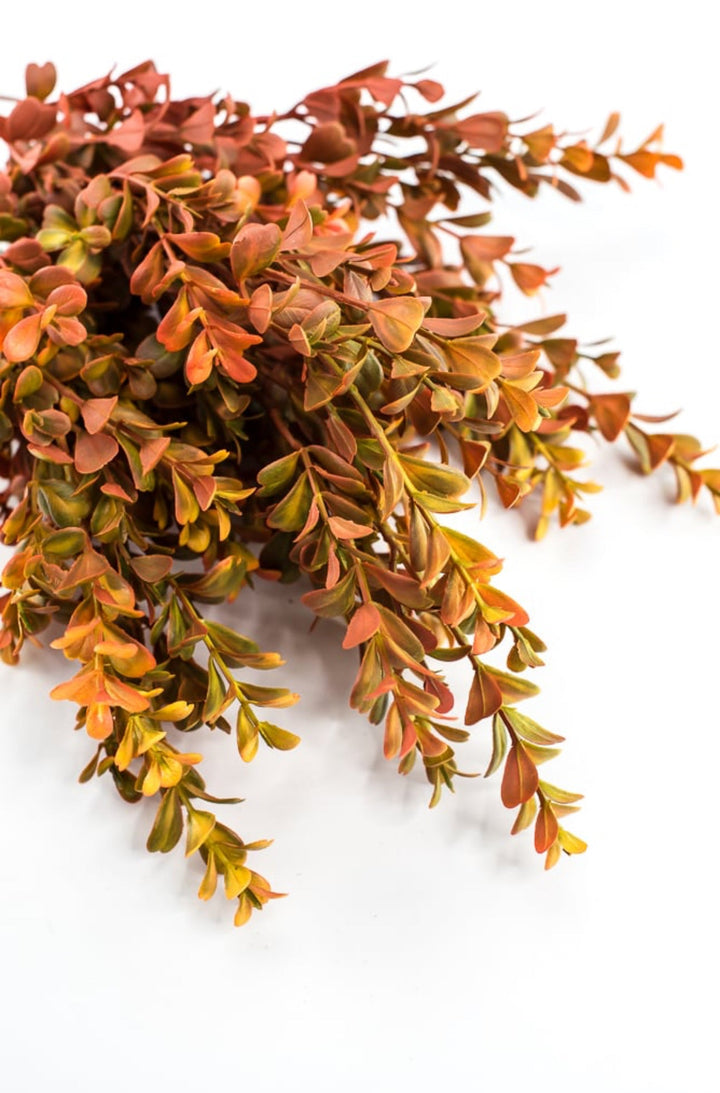 Eucalyptus bush - orange rust - Greenery Marketgreenery57094OR