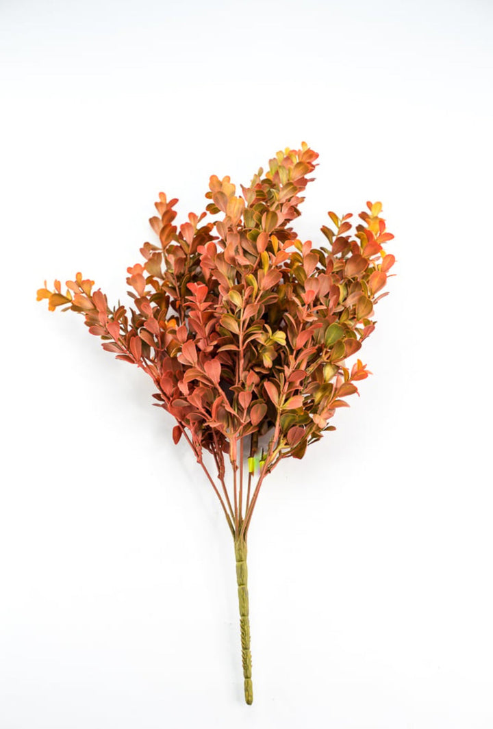 Eucalyptus bush - orange rust - Greenery Marketgreenery57094OR