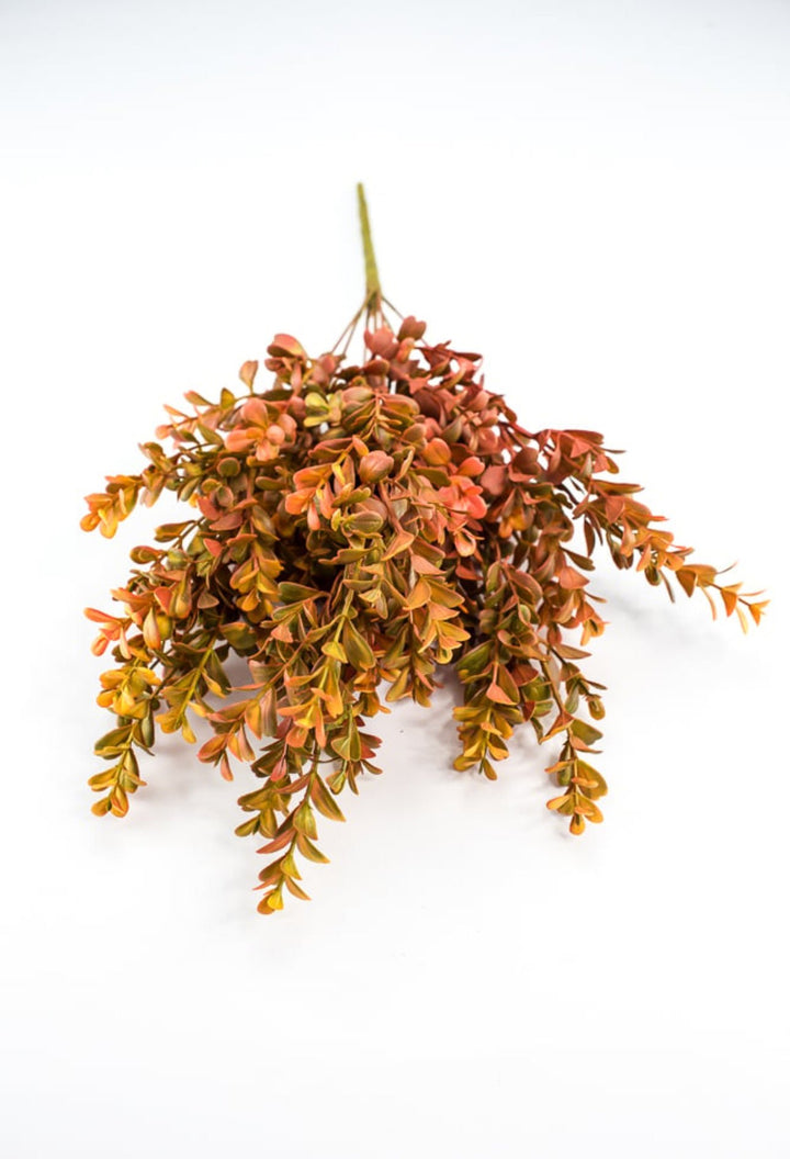 Eucalyptus bush - orange rust - Greenery Marketgreenery57094OR