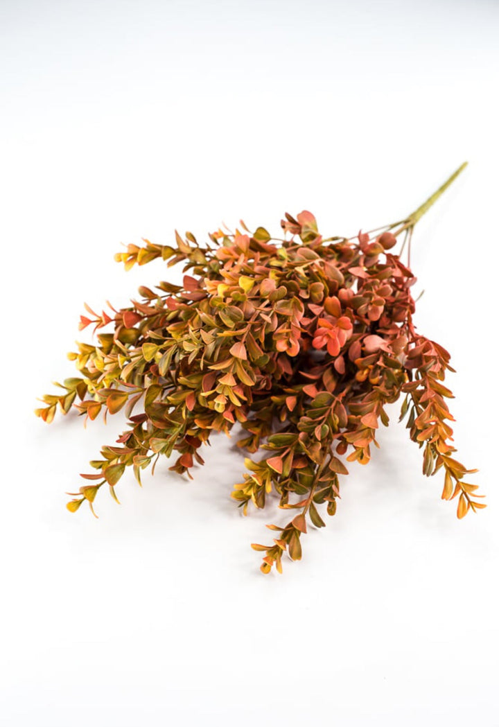 Eucalyptus bush - orange rust - Greenery Marketgreenery57094OR