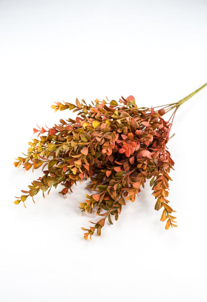 Eucalyptus bush - orange rust - Greenery Marketgreenery57094OR