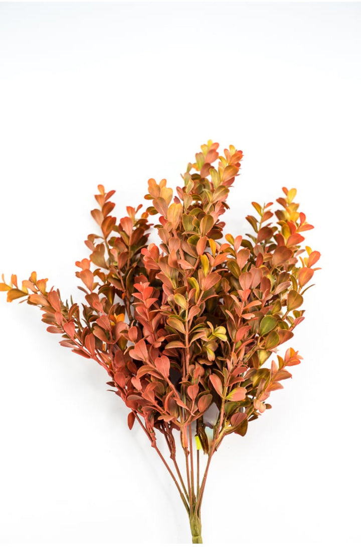 Eucalyptus bush - orange rust - Greenery Marketgreenery57094OR