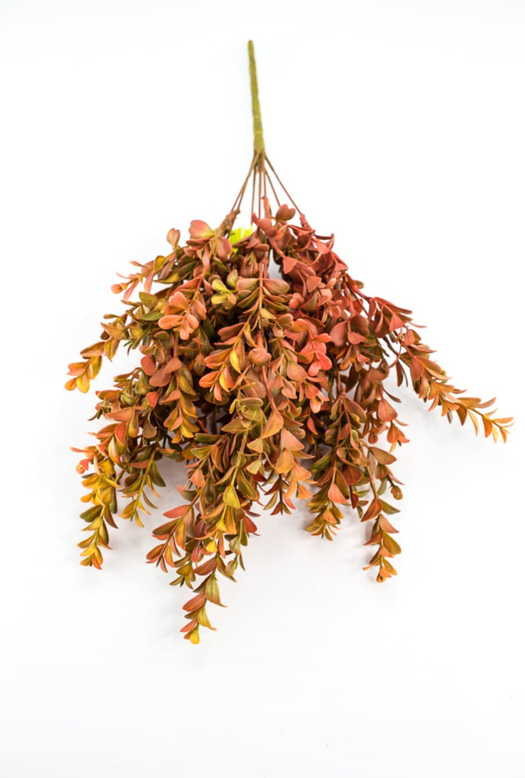 Eucalyptus bush - orange rust - Greenery Marketgreenery57094OR