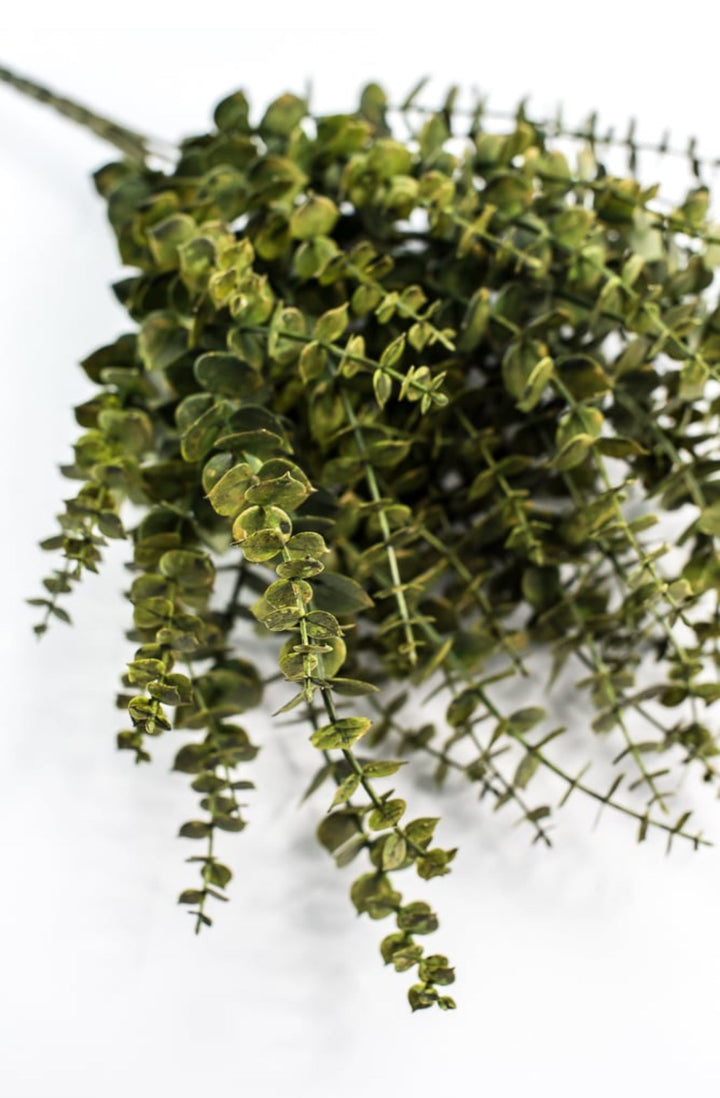 Eucalyptus greenery bush - moss - Greenery Market84676 - GN