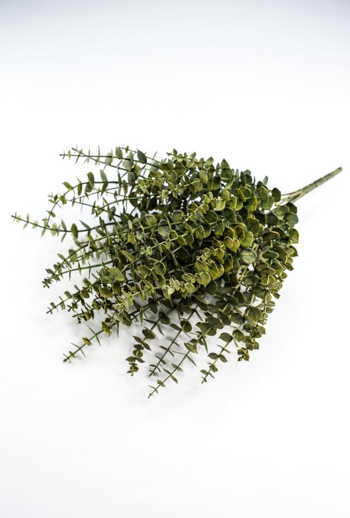 Eucalyptus greenery bush - moss - Greenery Market84676 - GN
