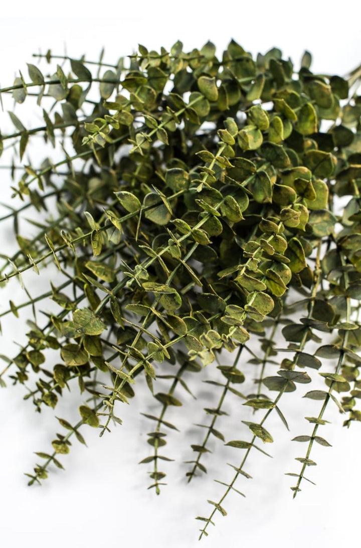 Eucalyptus greenery bush - moss - Greenery Market84676 - GN