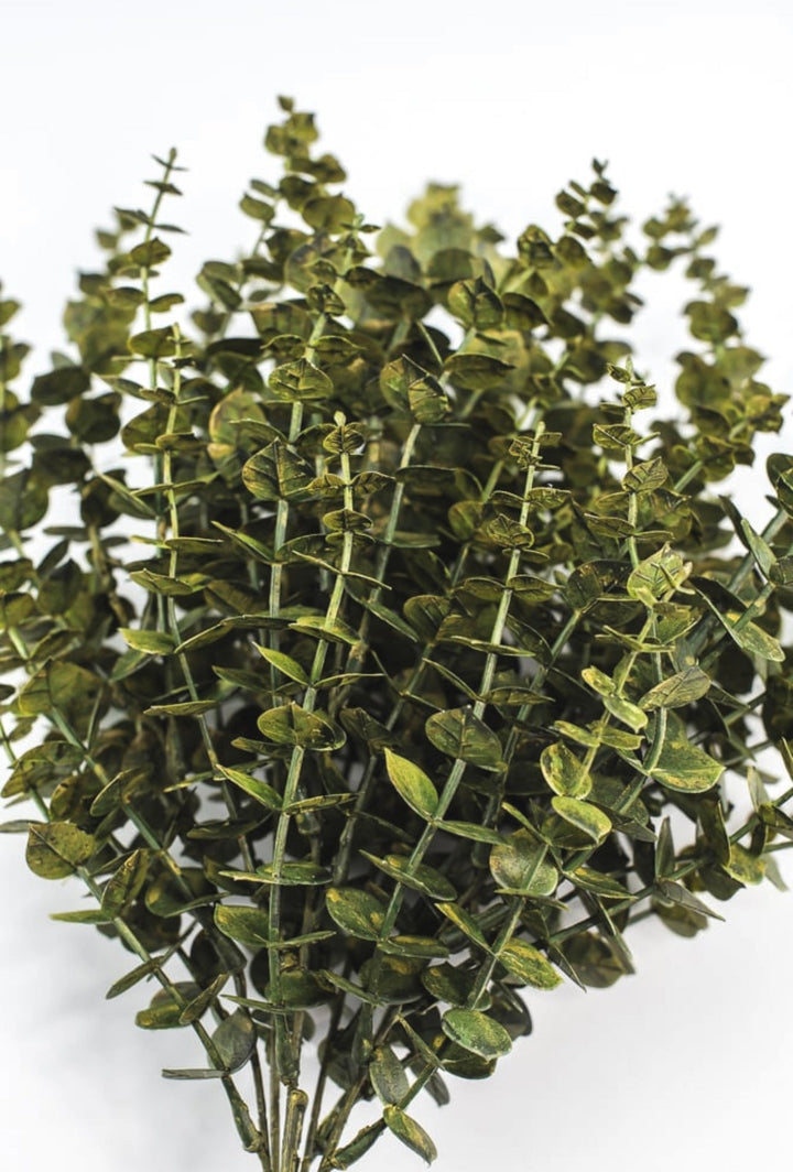 Eucalyptus greenery bush - moss - Greenery Market84676 - GN