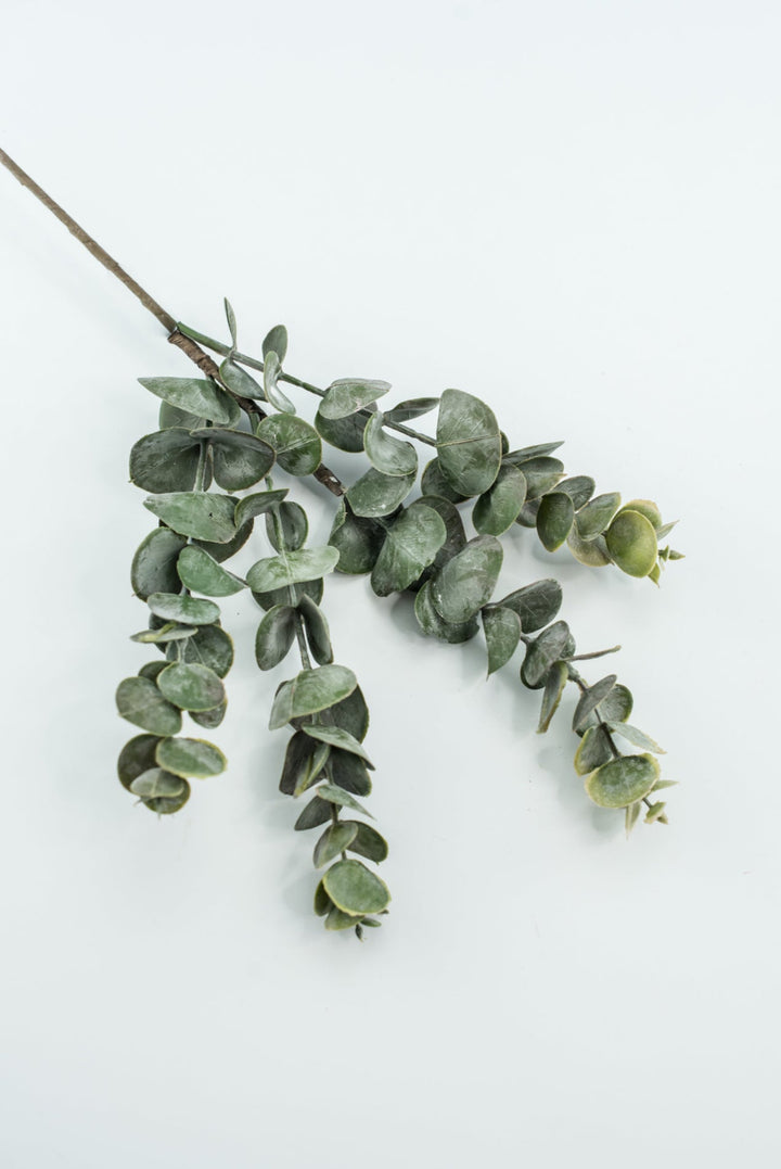 Eucalyptus pick - blush pink tips - Greenery MarketArtificial Flora26266