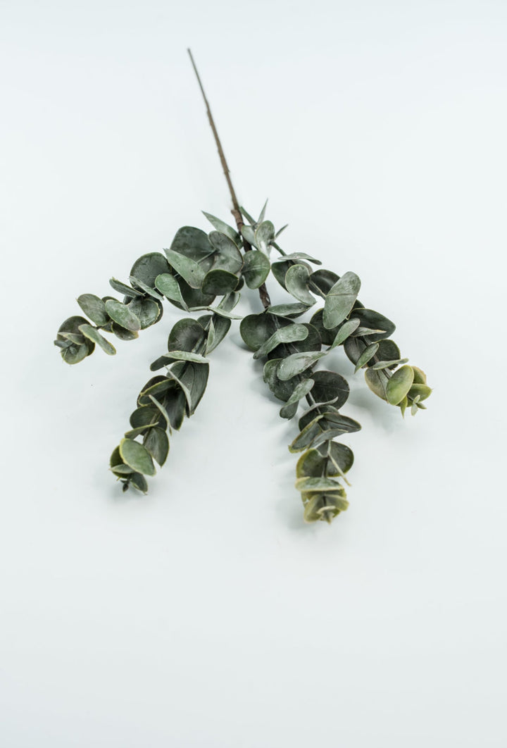 Eucalyptus pick - blush pink tips - Greenery MarketArtificial Flora26266