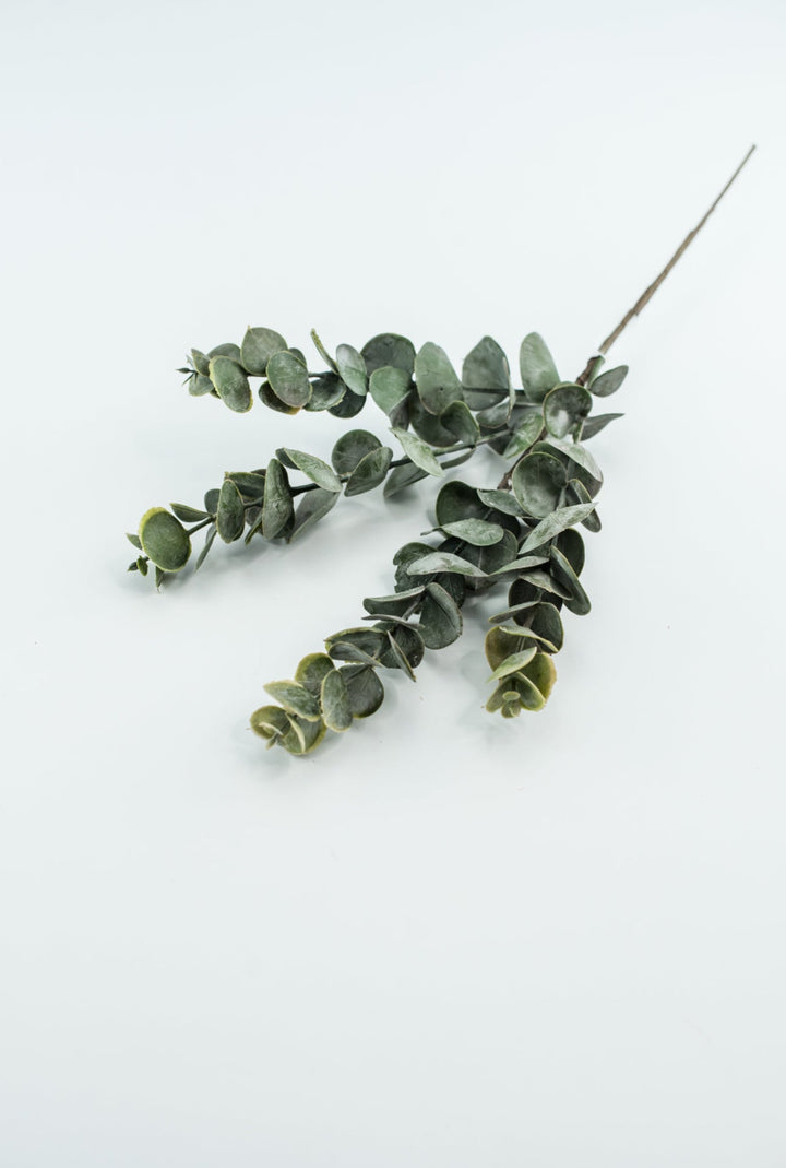 Eucalyptus pick - blush pink tips - Greenery MarketArtificial Flora26266