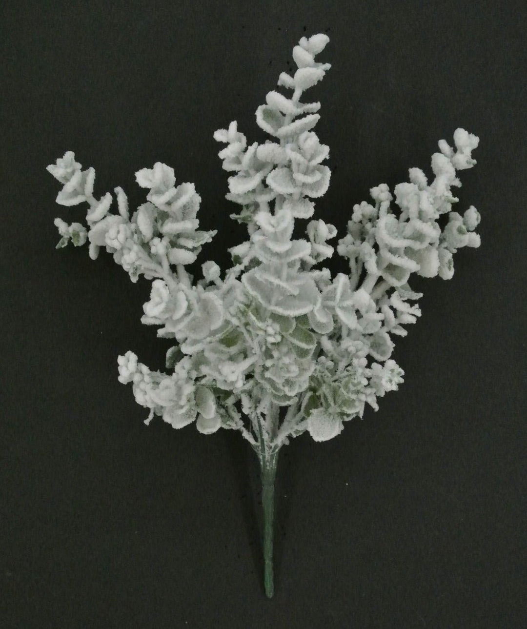 Eucalyptus Snow Bush - Greenery Market85285