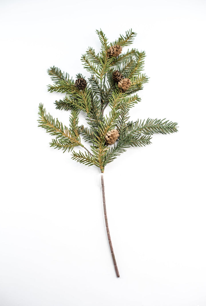 Ever - green tree greenery box - discounted bulk - Greenery MarketTRYMEx16