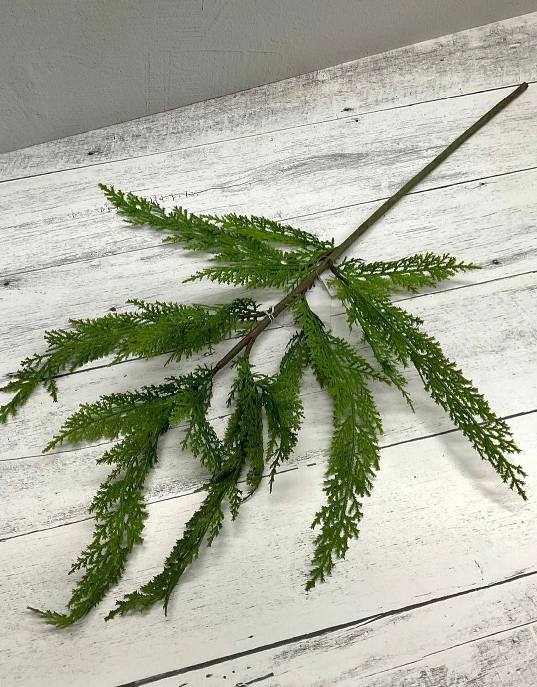 Ever - green tree greenery box - discounted bulk - Greenery MarketTRYMEx16