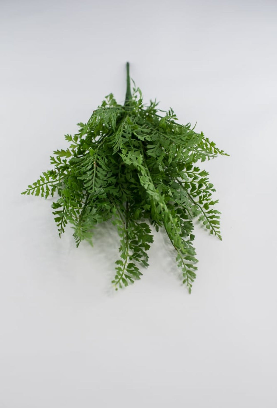Fern bundle bush - Greenery MarketArtificial Flora80633