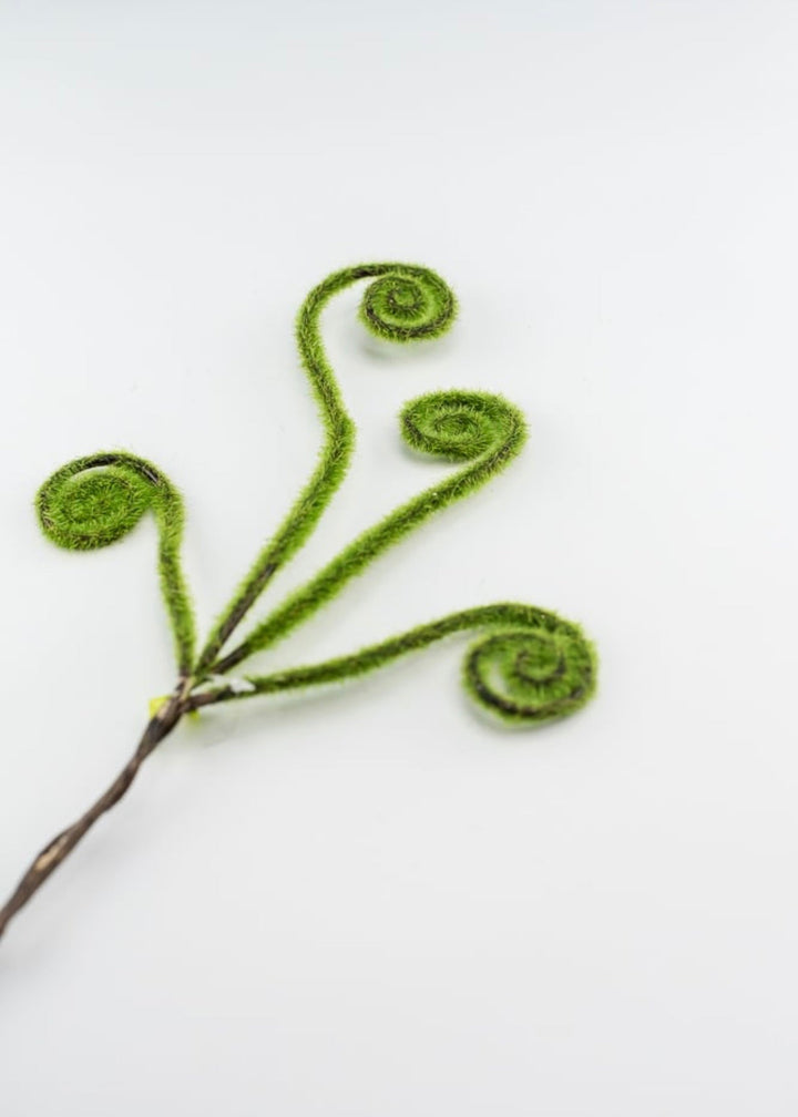 Fern fronds pick with moss - wired - Greenery Marketgreenery29448gn