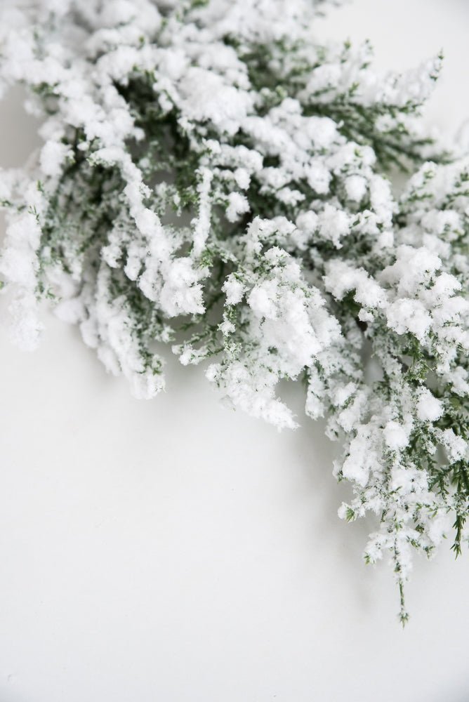 Flocked Cedar Pine spray with snow - Greenery Marketgreenery26088