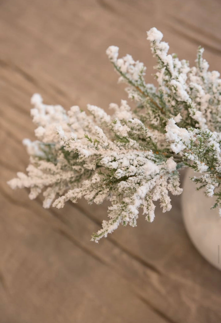 Flocked Cedar Pine spray with snow - Greenery Marketgreenery26088