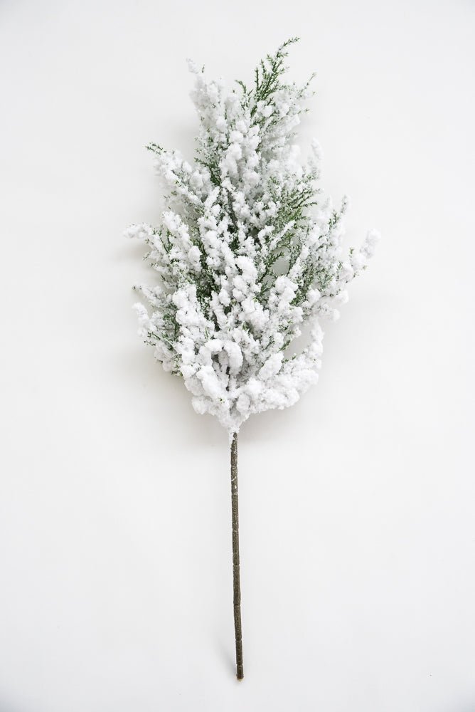 Flocked Cedar Pine spray with snow - Greenery Marketgreenery26088