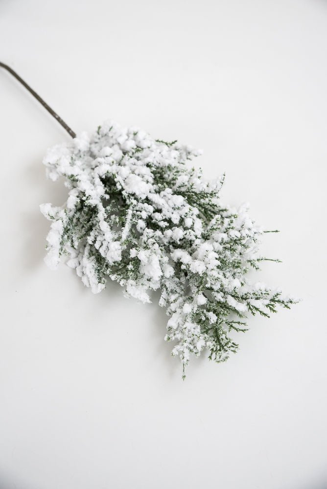 Flocked Cedar Pine spray with snow - Greenery Marketgreenery26088