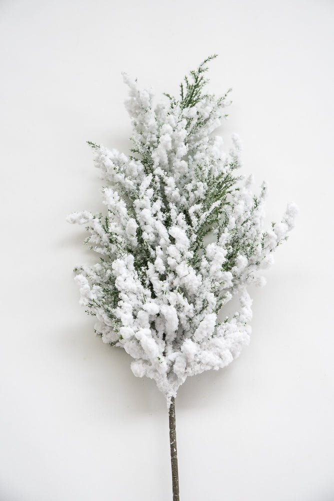 Flocked Cedar Pine spray with snow - Greenery Marketgreenery26088