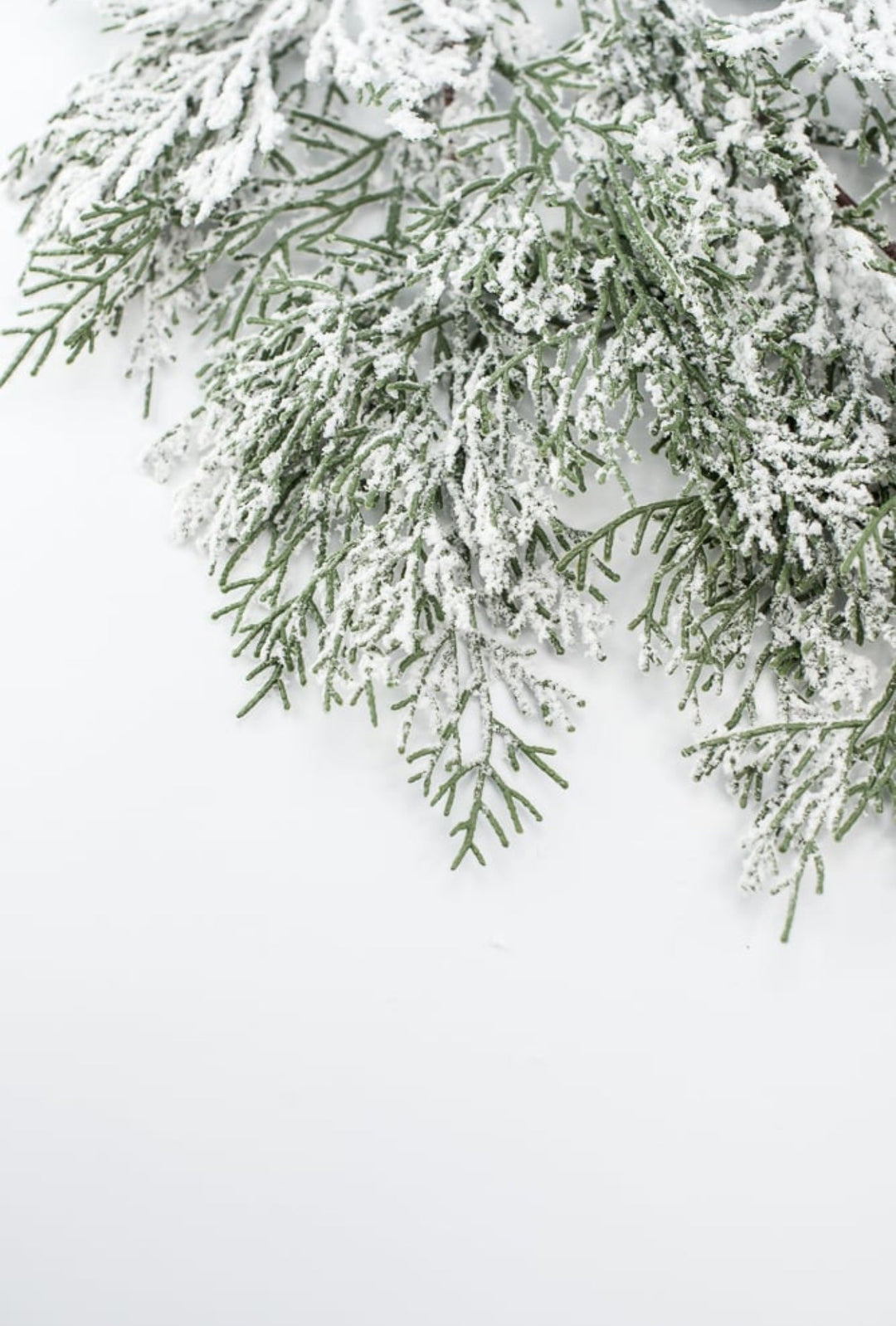Flocked Flat Cedar Spray - Greenery MarketWreath attachments86018SNOW