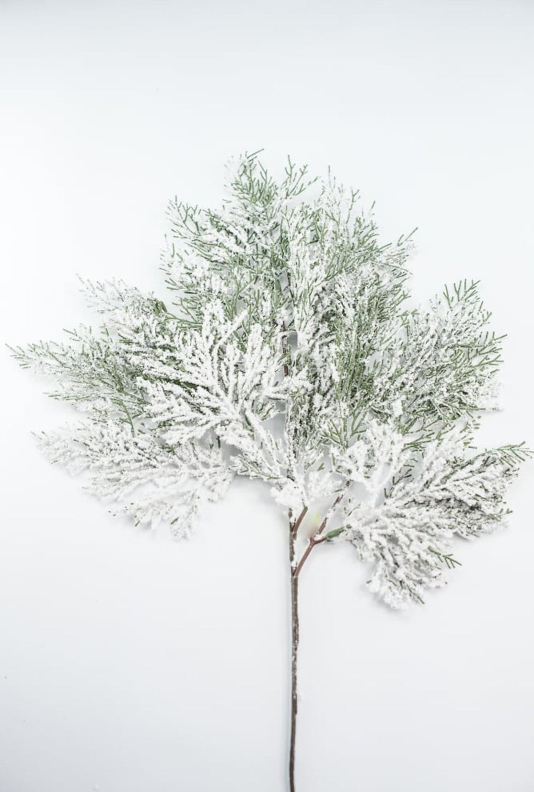 Flocked Flat Cedar Spray - Greenery MarketWreath attachments86018SNOW